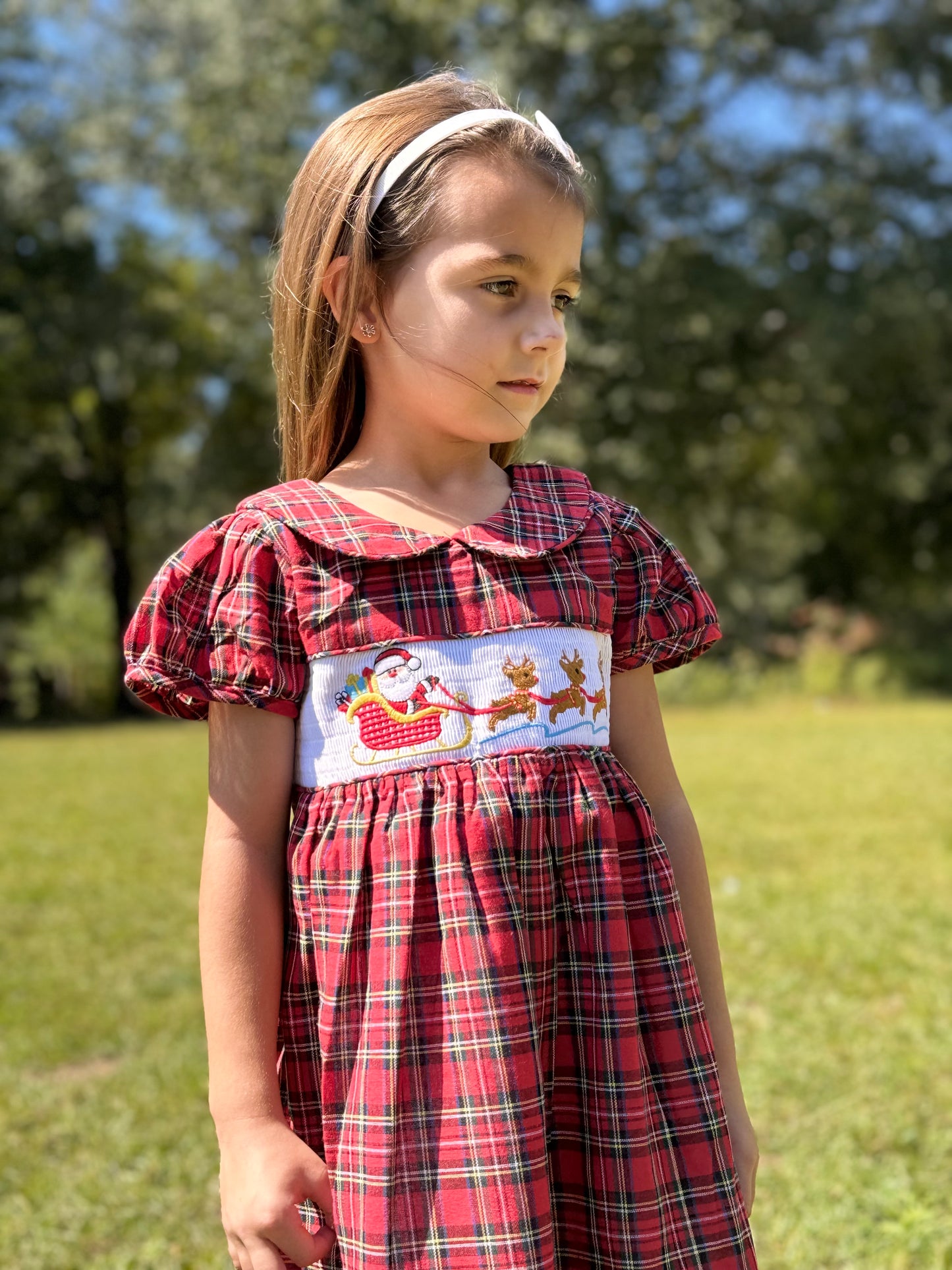 Red Christmas Plaid Santa Sleigh Smocked Dress: 4T